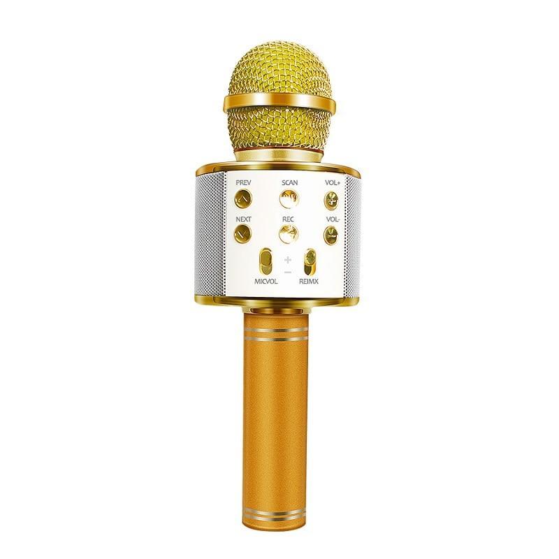 Portable Bluetooth Karaoke Microphone with Speaker