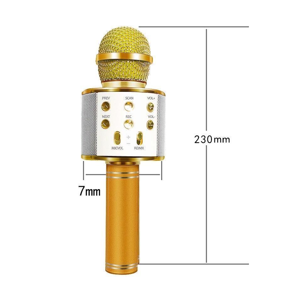 Portable Bluetooth Karaoke Microphone with Speaker