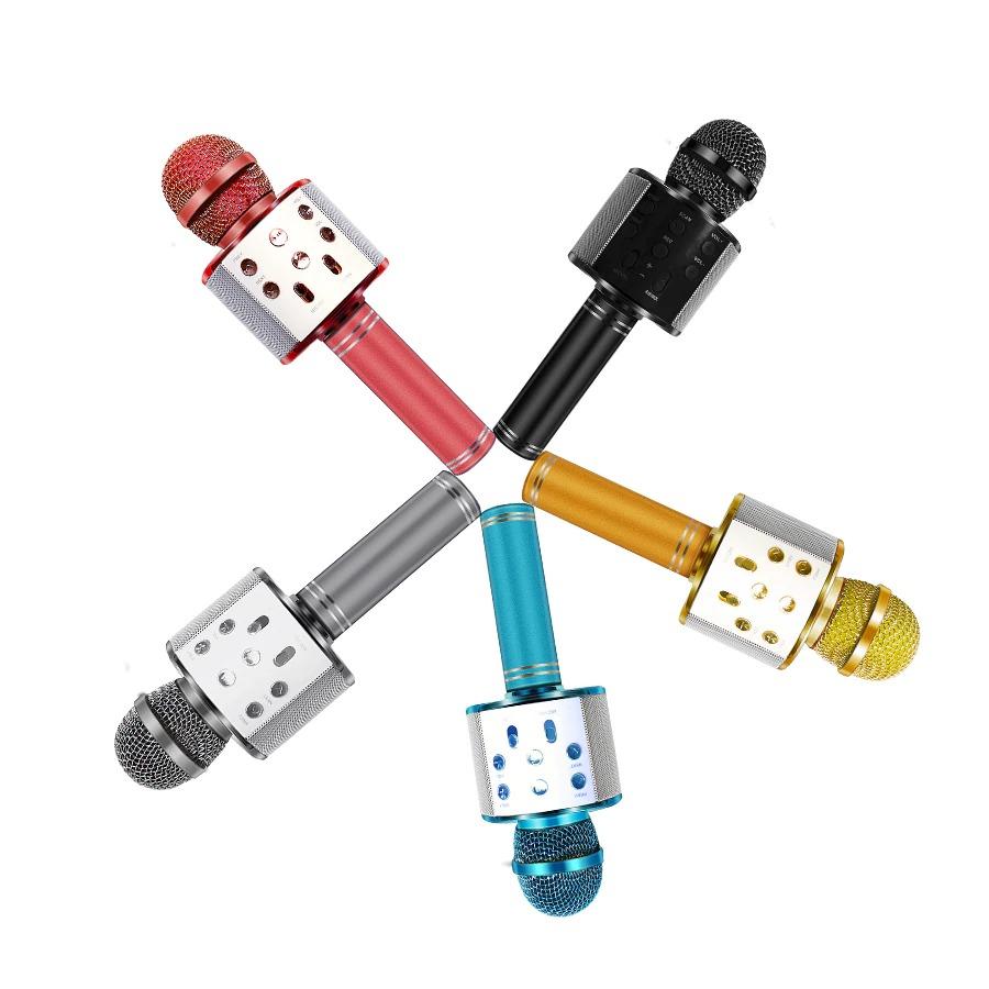 Portable Bluetooth Karaoke Microphone with Speaker