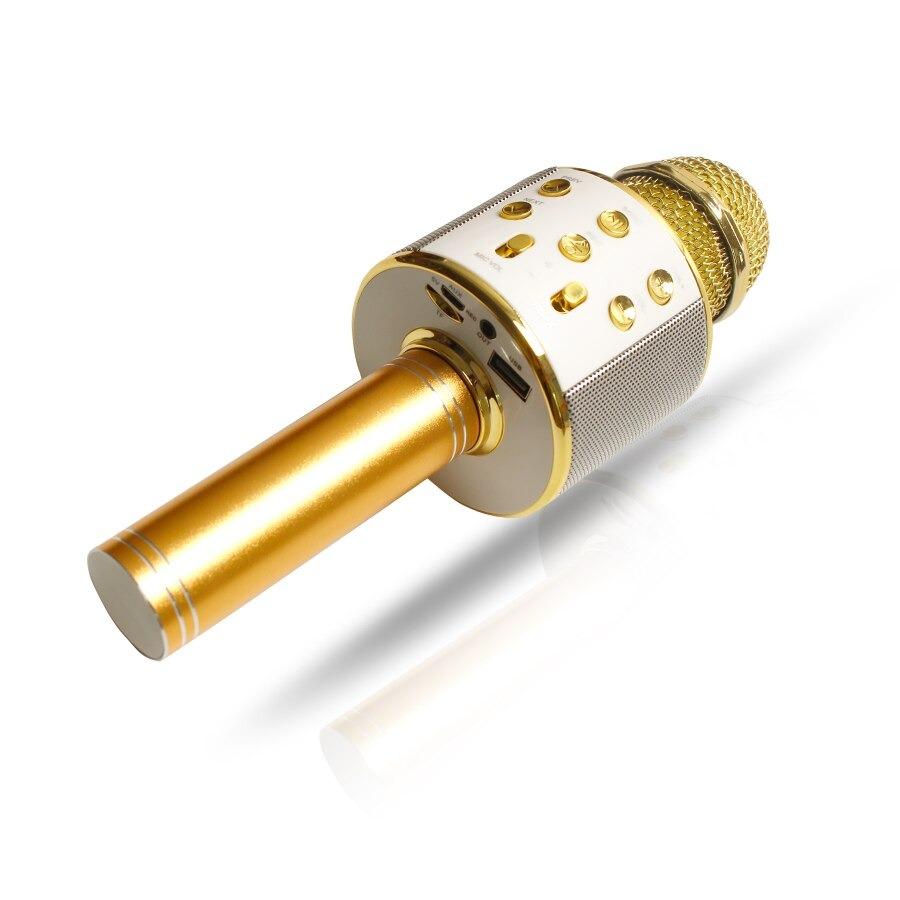 Portable Bluetooth Karaoke Microphone with Speaker