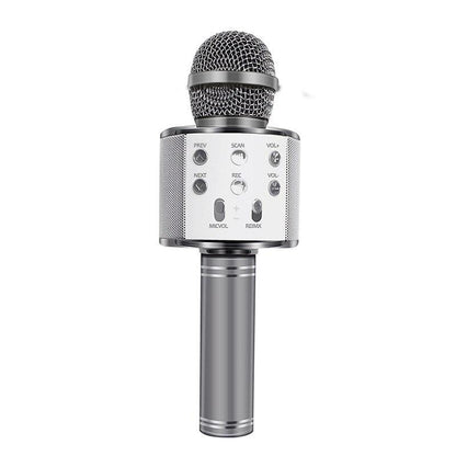 Portable Bluetooth Karaoke Microphone with Speaker